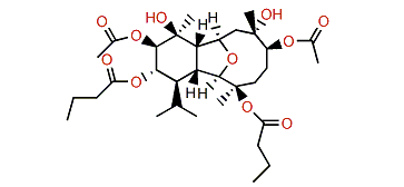 Simplexin C